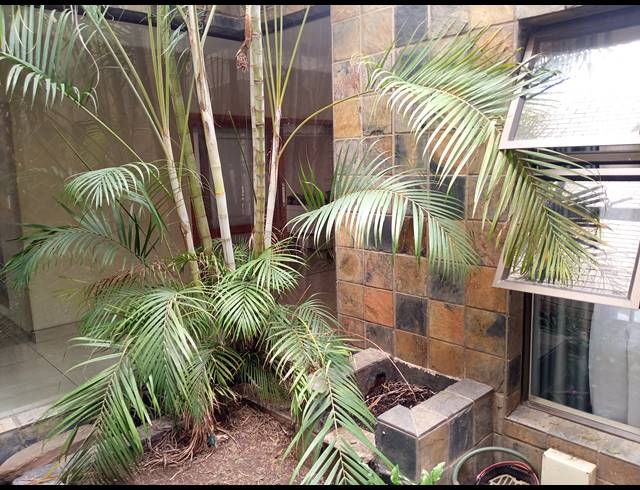 4 BEDROOM FREEHOLD FOR SALE IN RYNSOORD